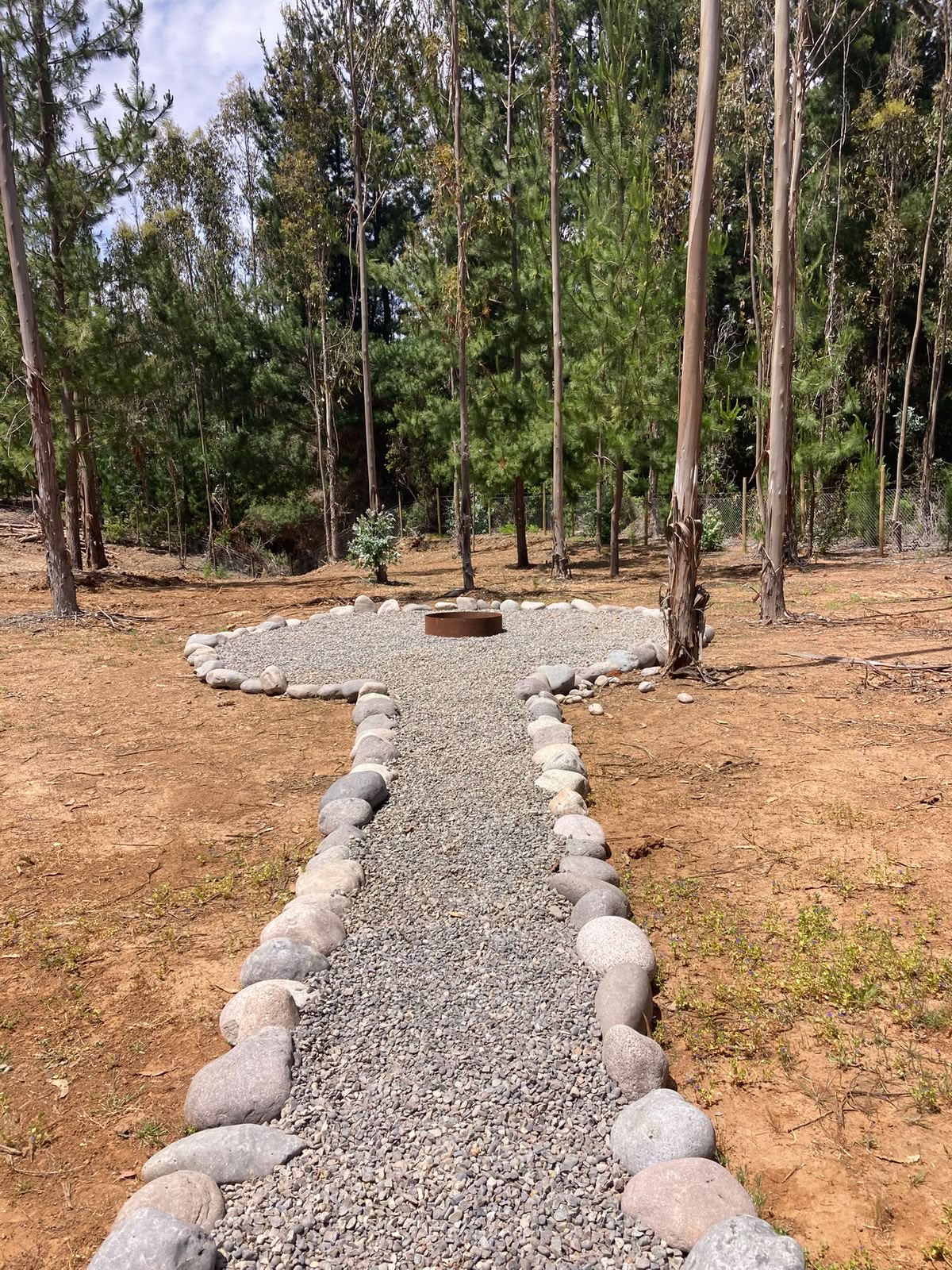 Sendero de gravilla bordeado de piedras hacia un fogón en el bosque